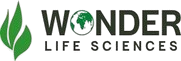 Responsive Logo